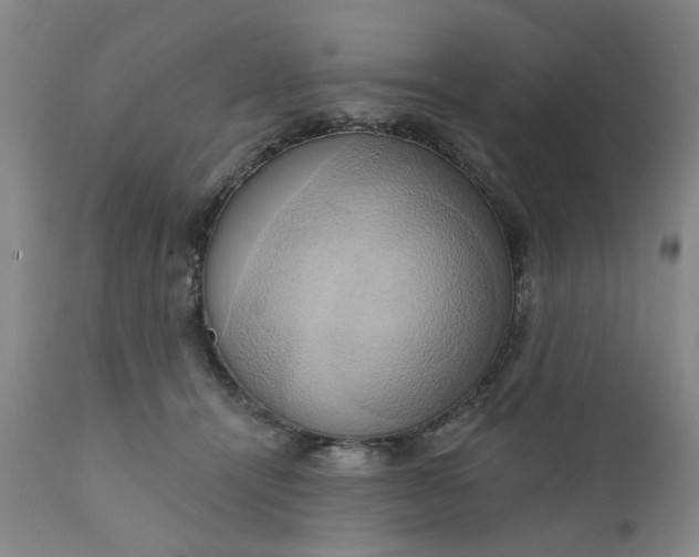 X0000110680464200906261324