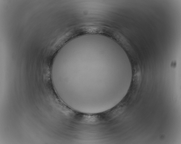 X0000110680469200906261325