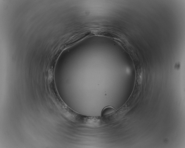 X0000110680471200906261325