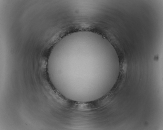 X0000110680472200906261325