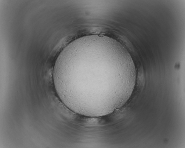 X0000110680473200906261325