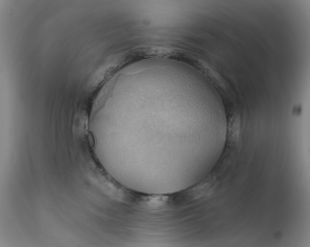 X0000110680474200906261325