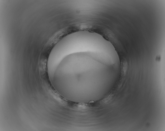 X0000110680475200906261325