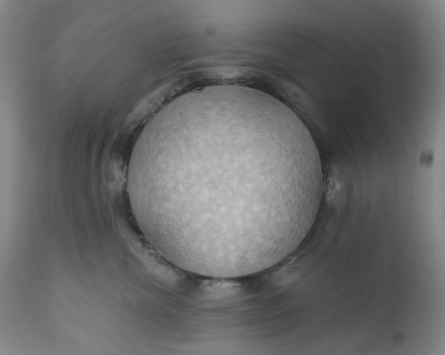 X0000110680476200906261325