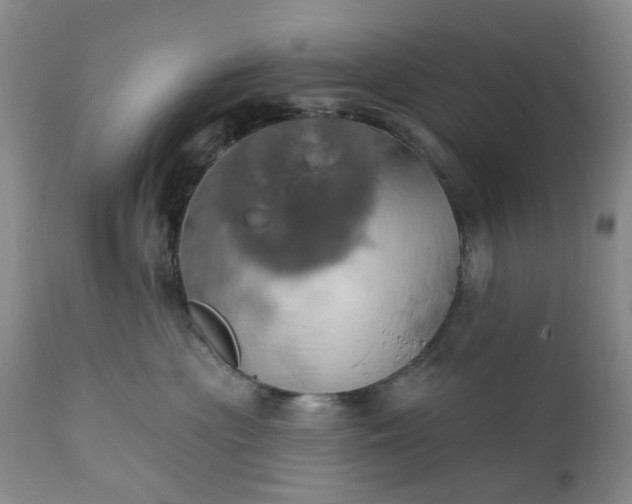 X0000110680477200906261325