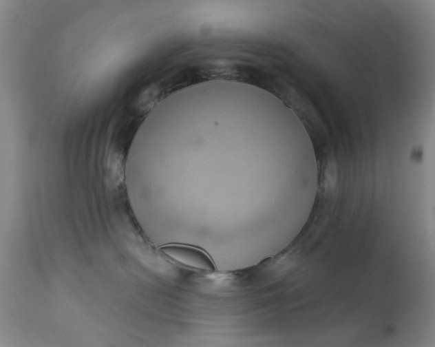 X0000110680478200906261325