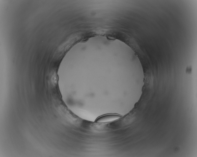 X0000110680479200906261325