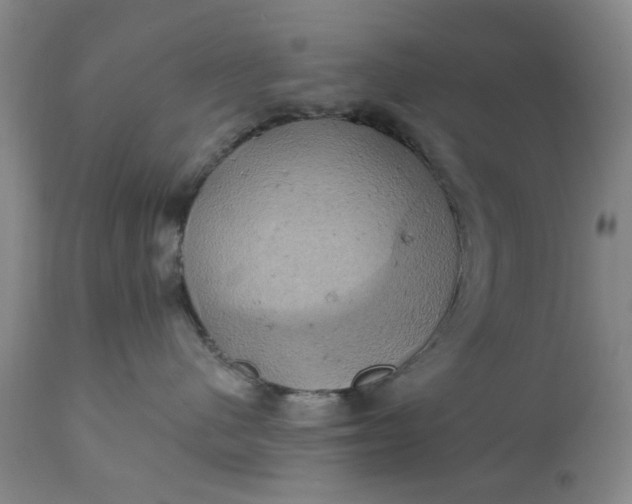 X0000110680480200906261325