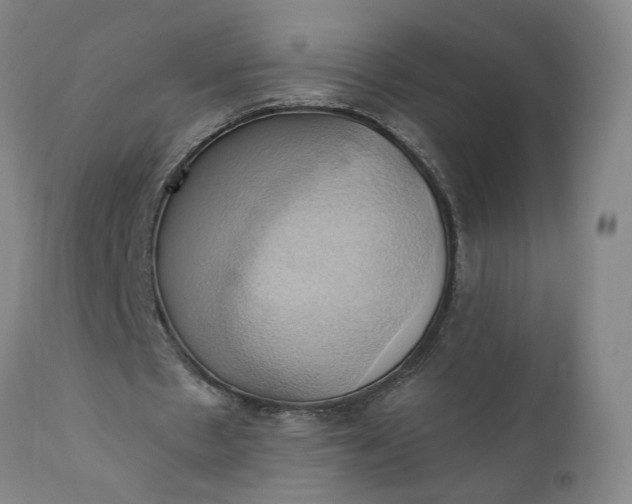 X0000110680481200906261324