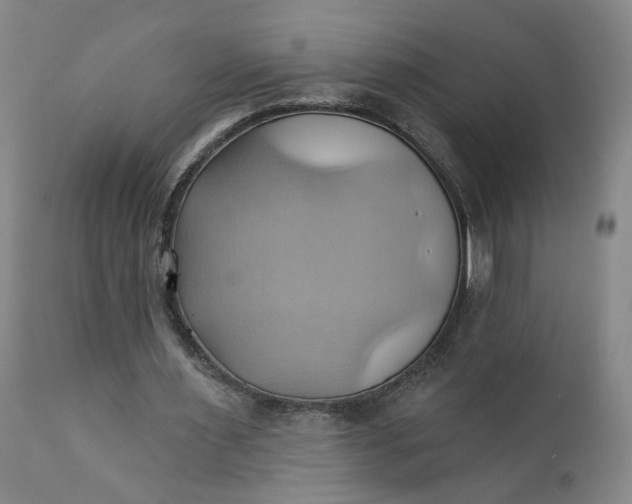 X0000110680483200906261324