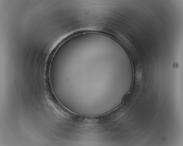 X0000110680484200906261324