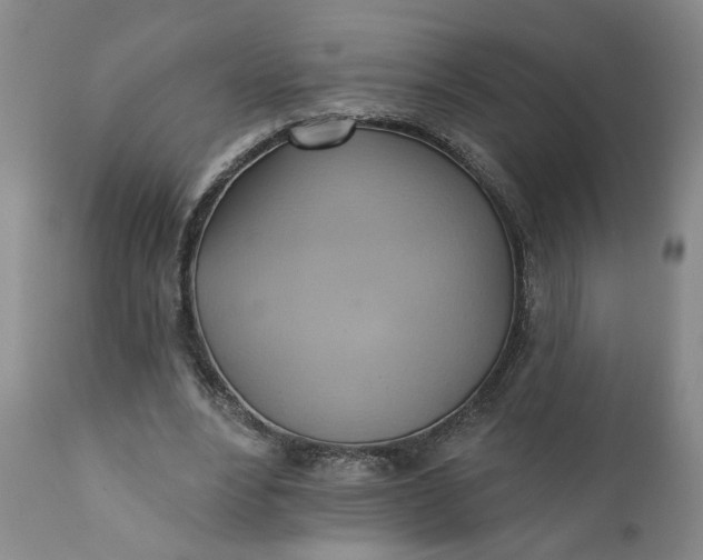 X0000110680488200906261324