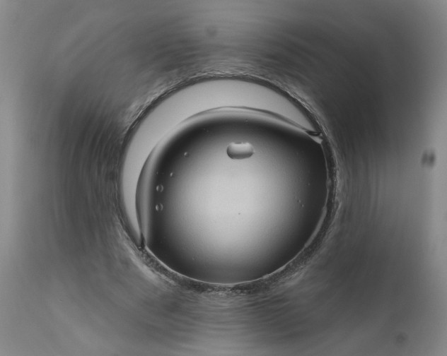 X0000110680489200906261324