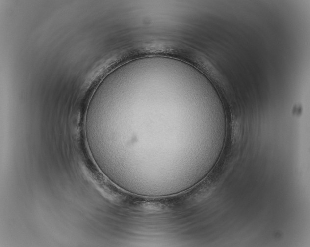 X0000110680490200906261324