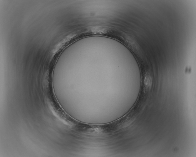 X0000110680492200906261324