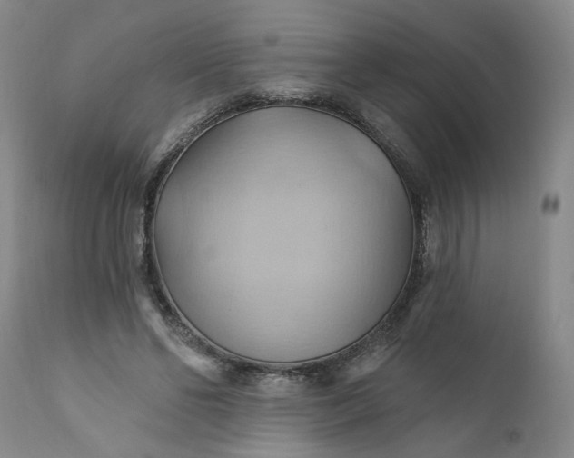 X0000110680494200906261324