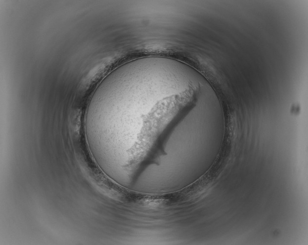 X0000110680495200906261324