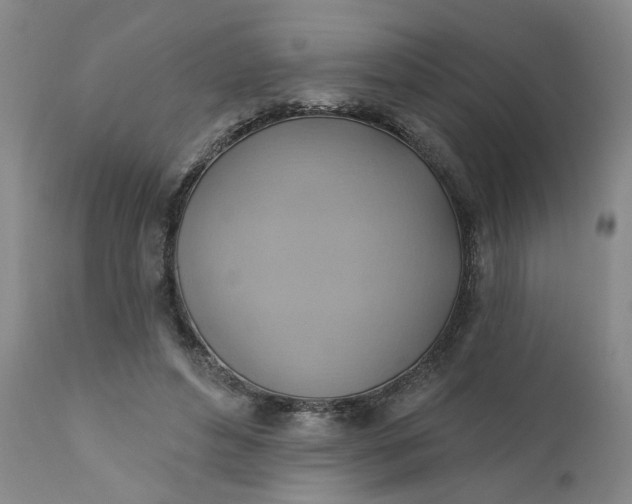 X0000110680496200906261324