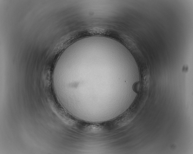 X0000110680498200906261324