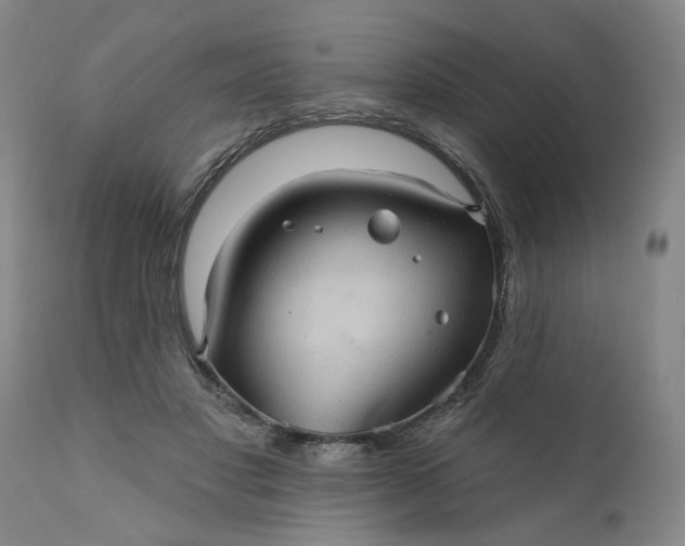 X0000110680501200906261324