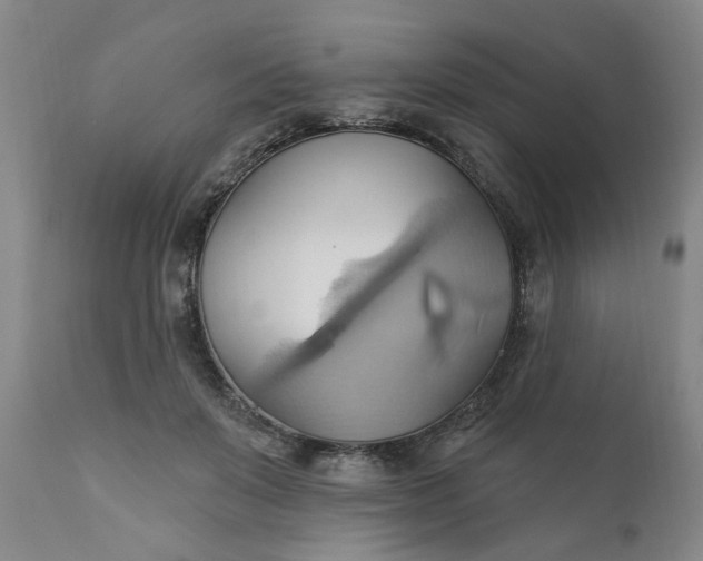 X0000110680503200906261324