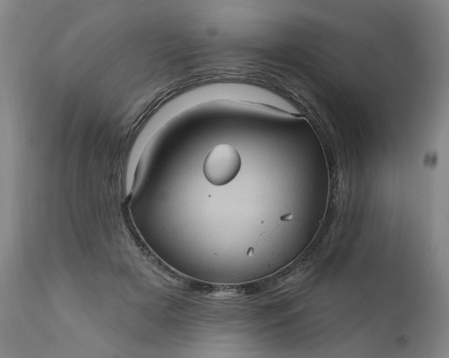 X0000110680505200906261324