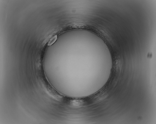 X0000110680508200906261324