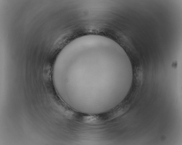 X0000110680511200906261324