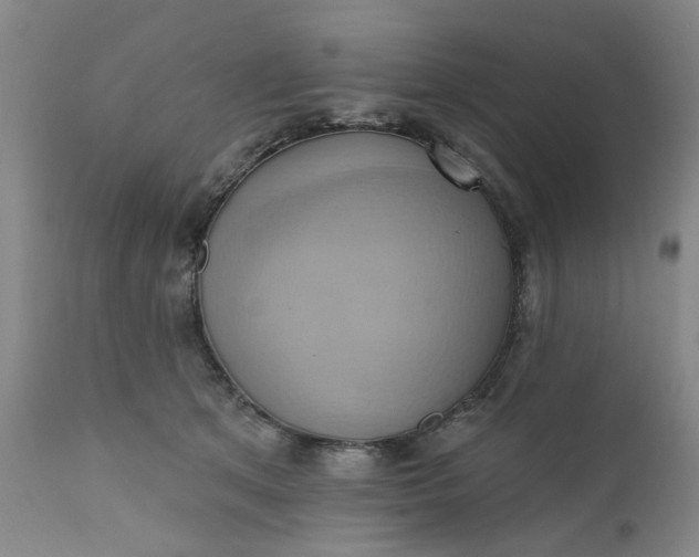 X0000110680513200906261324