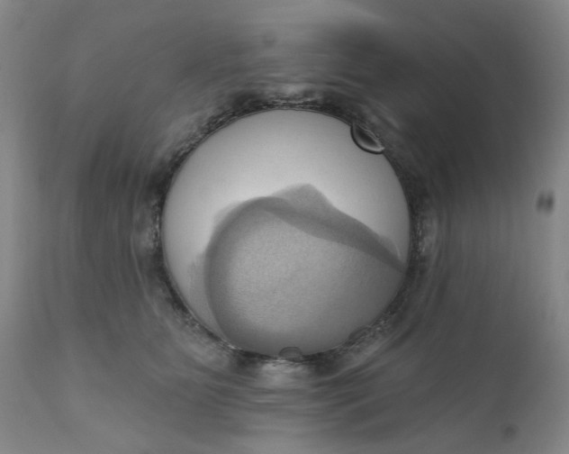 X0000110680515200906261324