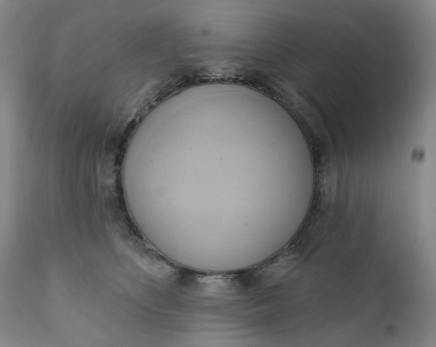 X0000110680516200906261324