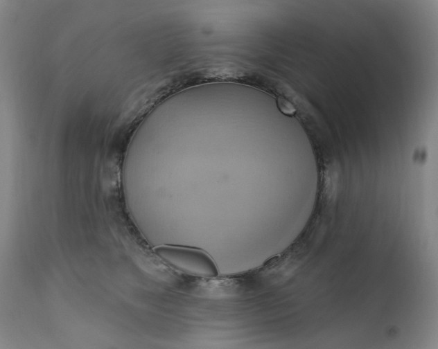 X0000110680517200906261324