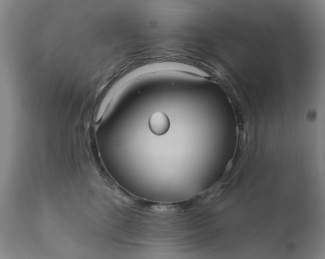 X0000110680520200906261323