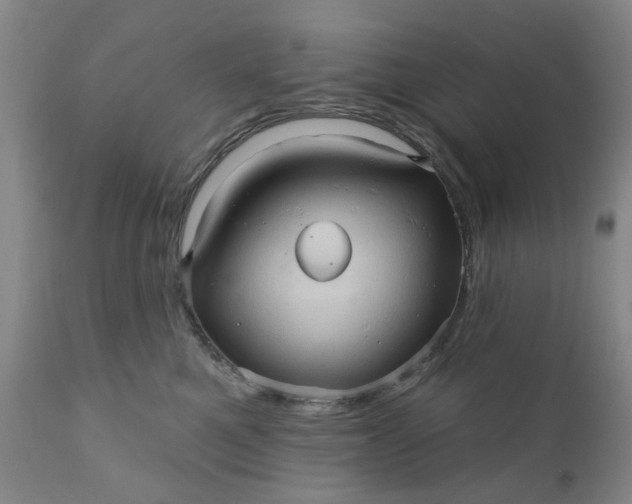 X0000110680521200906261323