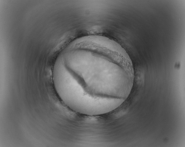 X0000110680523200906261323