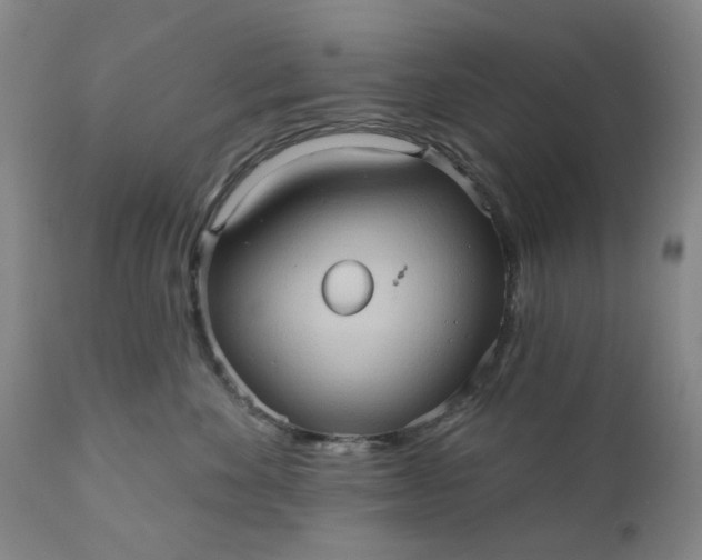 X0000110680524200906261323