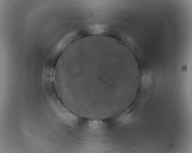 X0000110680525200906261323