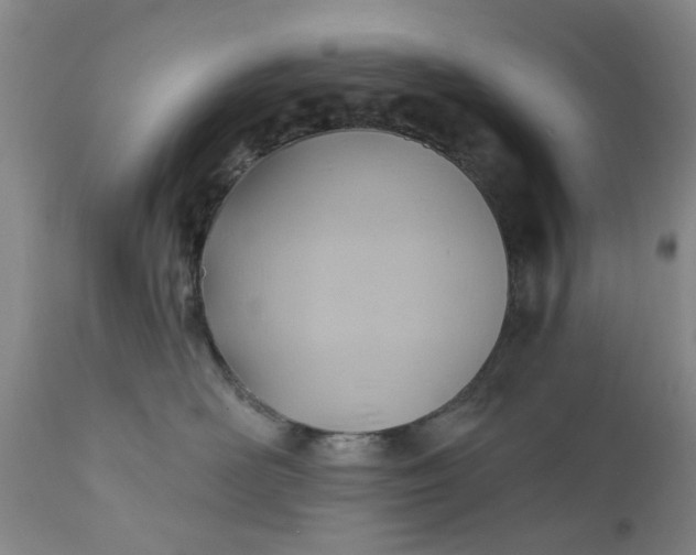 X0000110680526200906261323