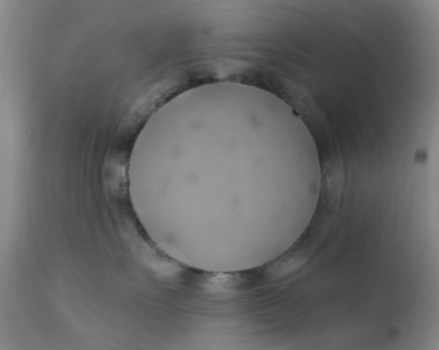 X0000110680527200906261323