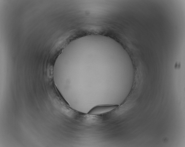 X0000110680528200906261323