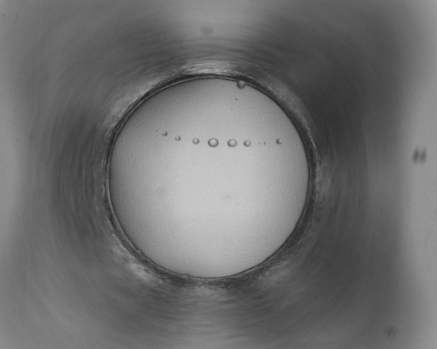 X0000110680529200906261323