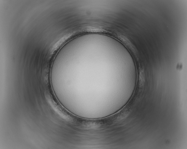 X0000110680533200906261323