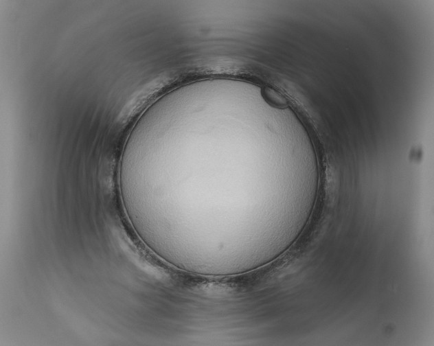 X0000110680537200906261323