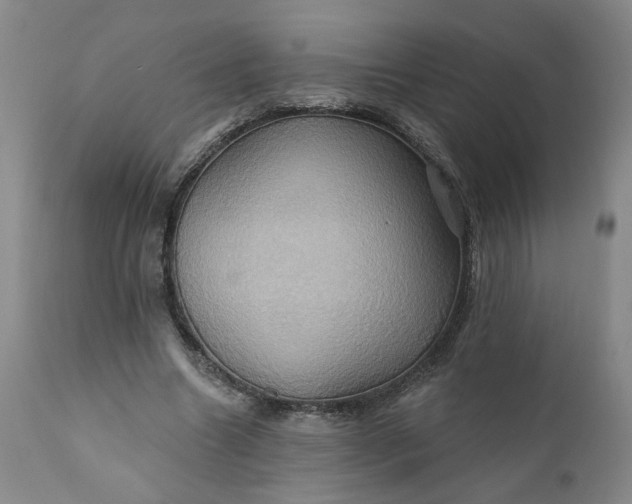 X0000110680538200906261323