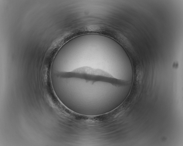 X0000110680542200906261323