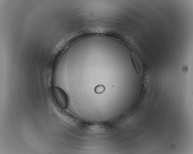 X0000110680544200906261323