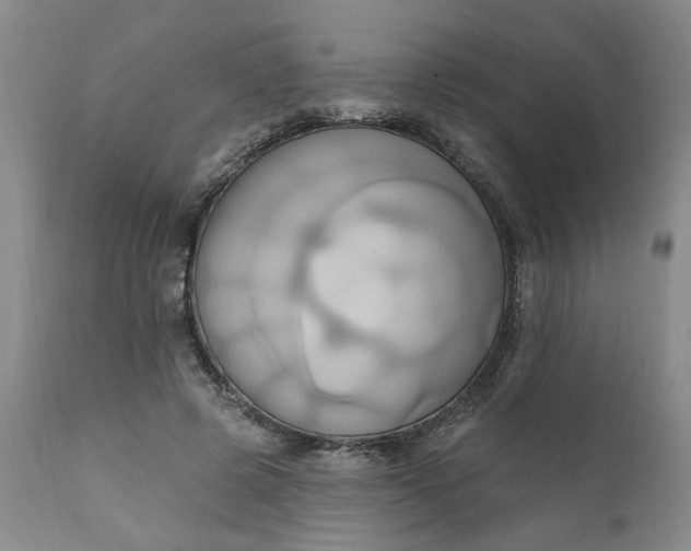 X0000110680545200906261323