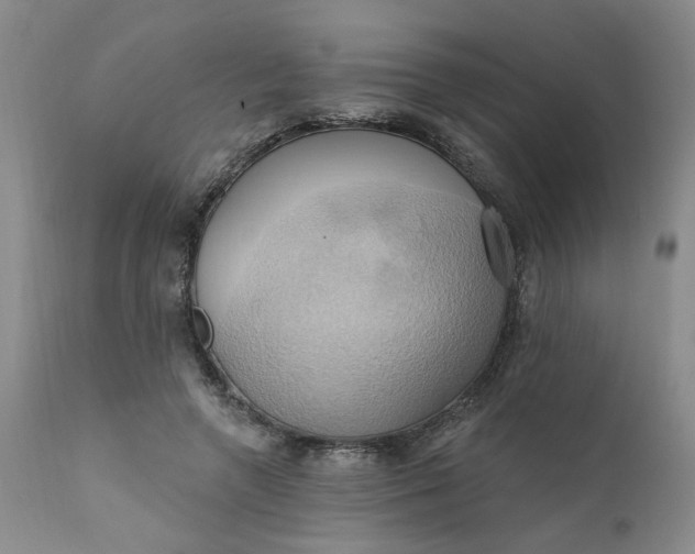 X0000110680546200906261323