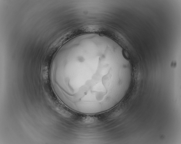 X0000110680549200906261323