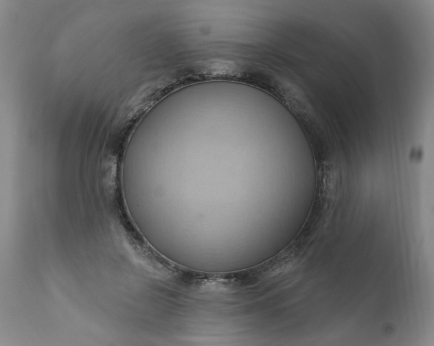 X0000110680550200906261323